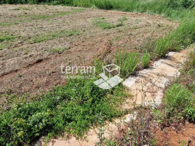 Istra, Ližnjan, građevinsko zemljište 1650 m2 #prodaja