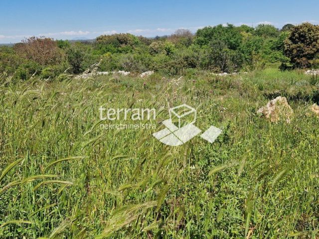 Istra, Pula, Vintijan, građevinsko zemljište 1143m2  #prodaja