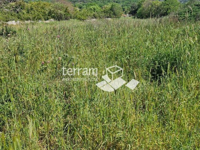 Istra, Pula, Vintijan, građevinsko zemljište 1143m2  #prodaja