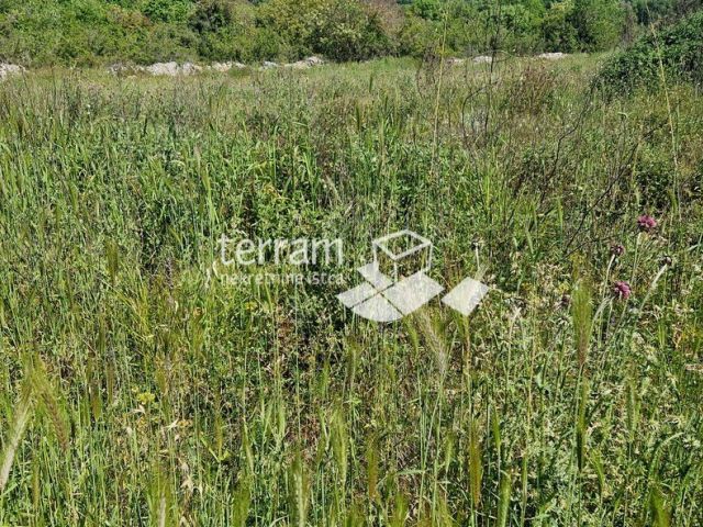 Istra, Pula, Vintijan, građevinsko zemljište 1143m2  #prodaja